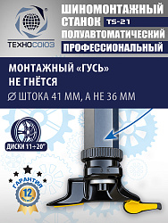 Станок шиномонтажный TS-21